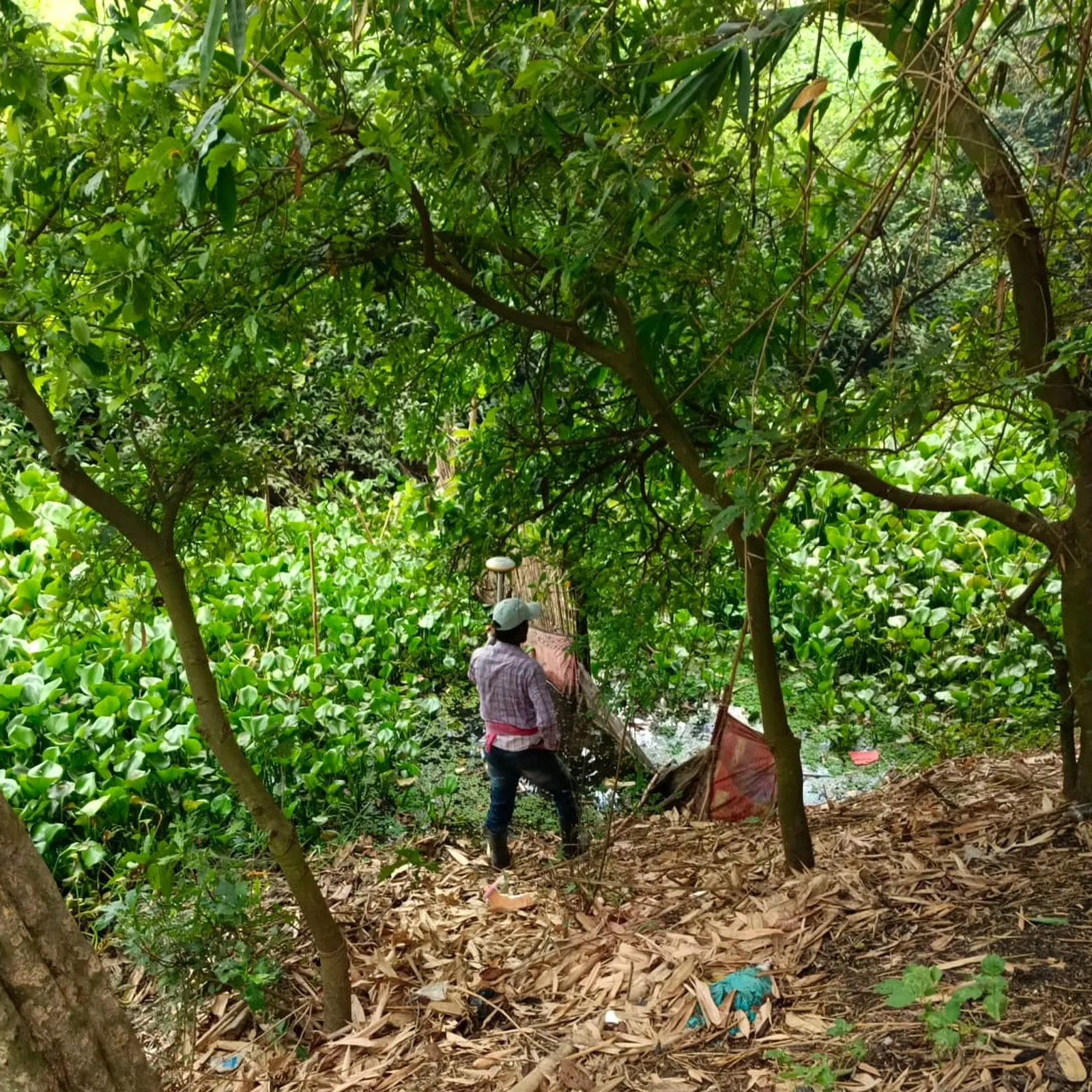 Representative fieldwork — Amodar River survey, Kamarpukur (not tied to a specific named PDF project).
